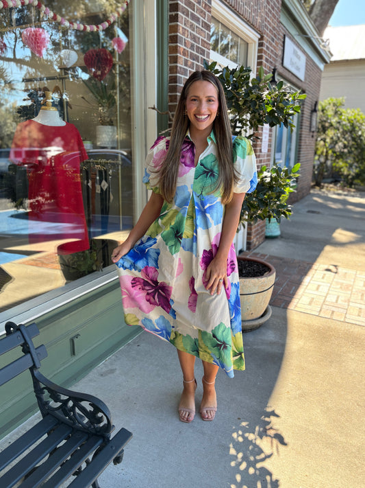 Serendipity Midi Dress - Multi