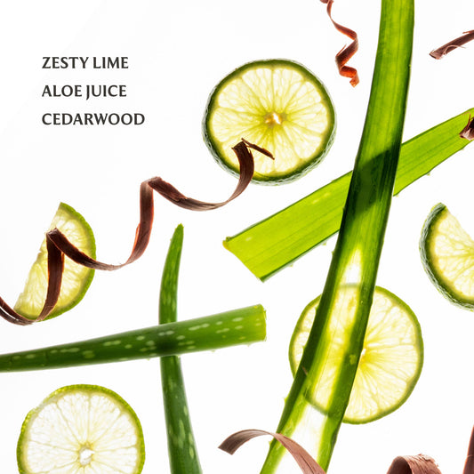 Aloe You Power Mist Hydrating Hand Sanitizer - KJ Clothier