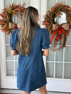 Dolly Denim Dress