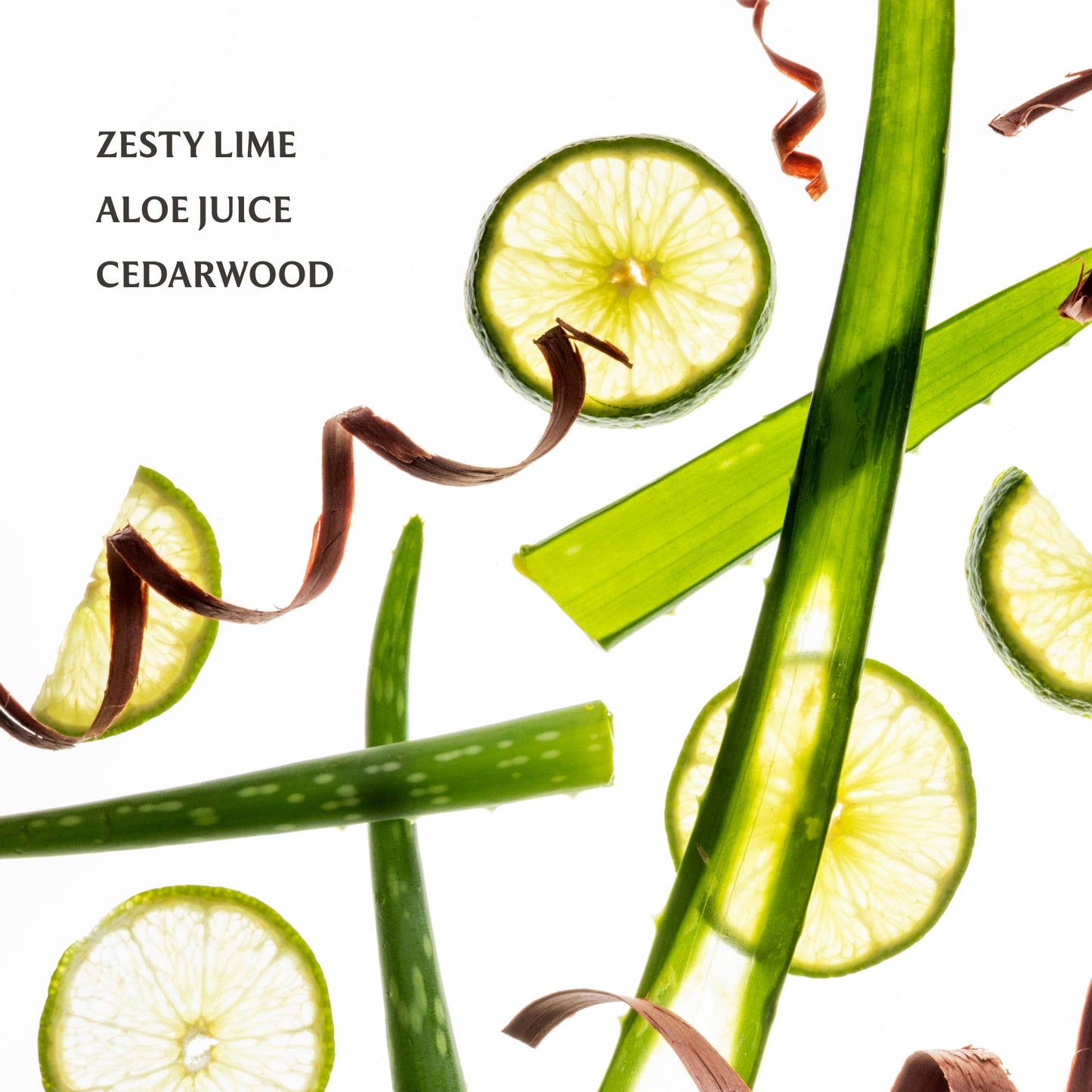 Aloe You Power Mist Hydrating Hand Sanitizer - KJ Clothier