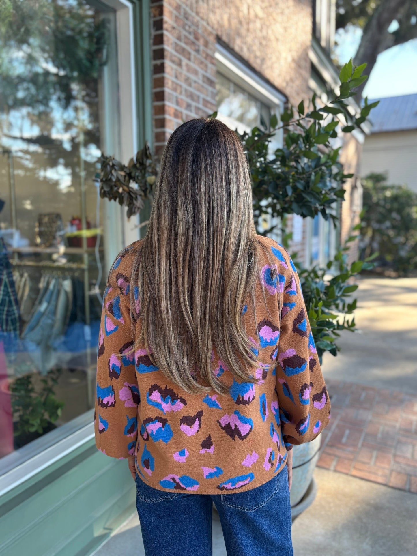 Animal Abstract V - Neck Sweater - KJ Clothier