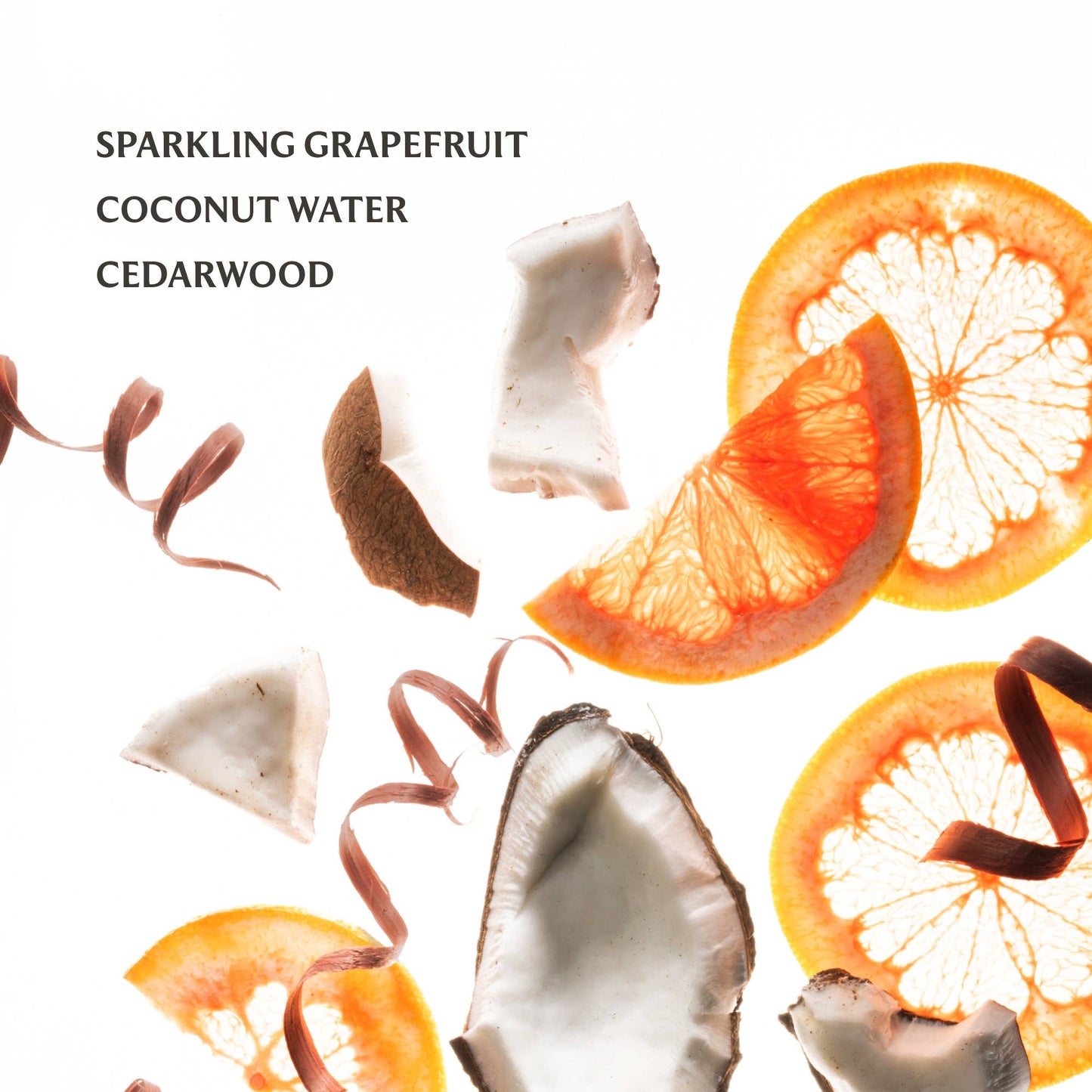 Beach Coco Power Mist Hydrating Hand Sanitizer - KJ Clothier