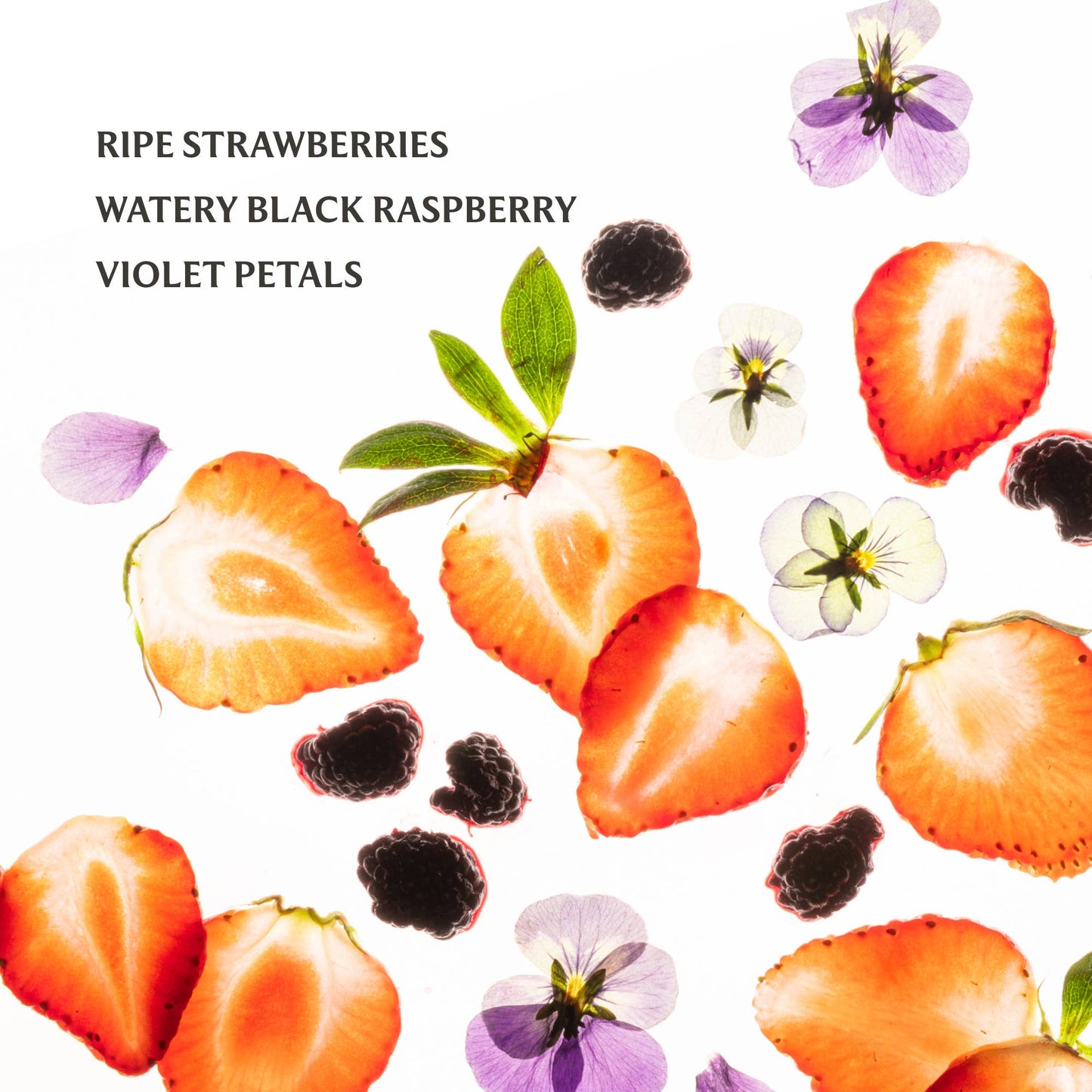 Berry Bliss Power Mist Hydrating Hand Sanitizer - KJ Clothier