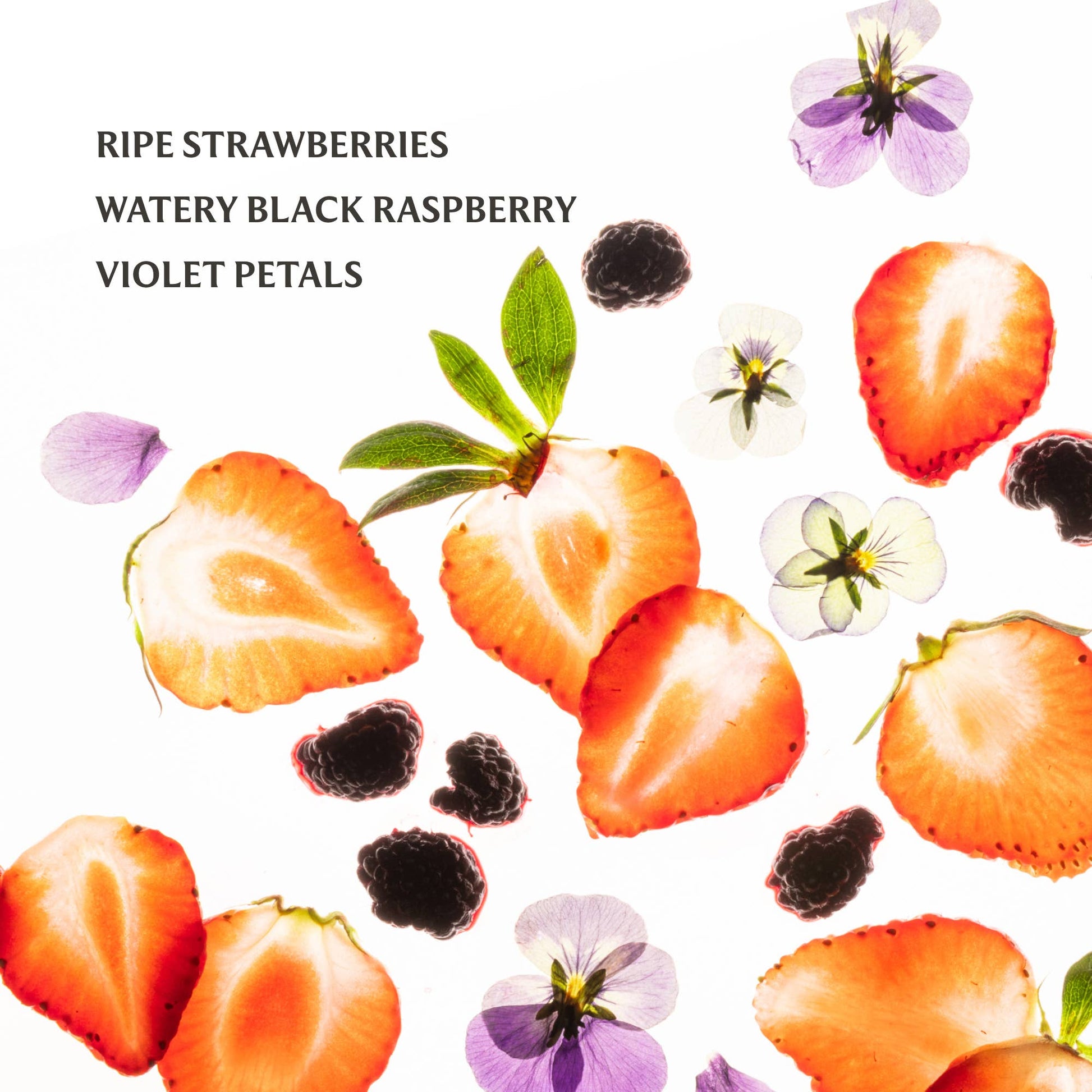 Berry Bliss Power Mist Hydrating Hand Sanitizer - KJ Clothier