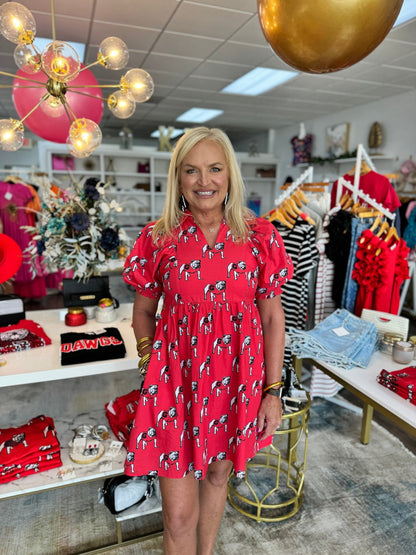 Stewart Simmons - The Standing Dawg Poplin Dress - KJ Clothier